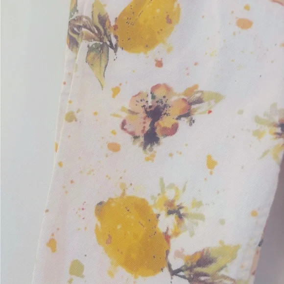 Anthropologie Pilcro Lemon Grove Pants - Picture 7 of 14